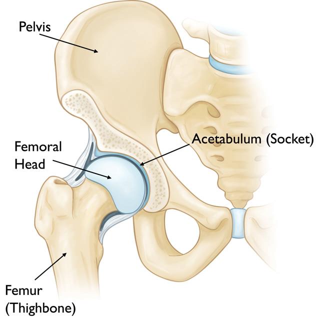 Hip Replacement Surgery